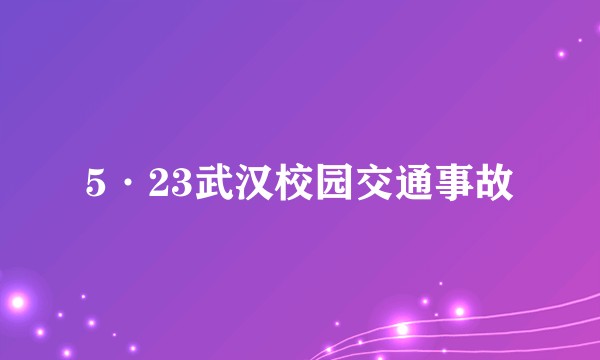 5·23武汉校园交通事故