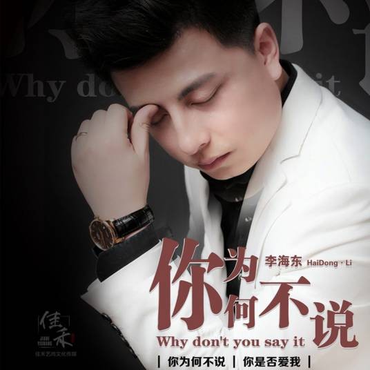 你为何不说（李海东演唱的失落情歌歌曲）