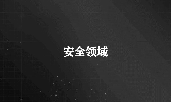 安全领域