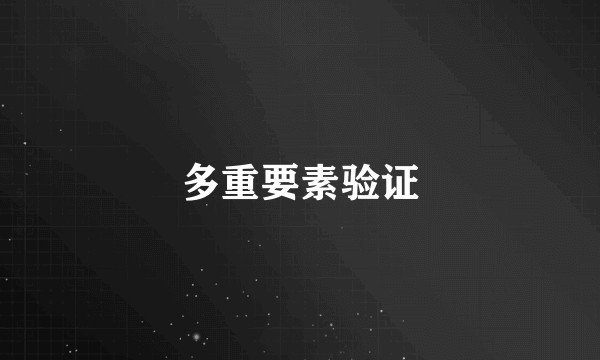 多重要素验证