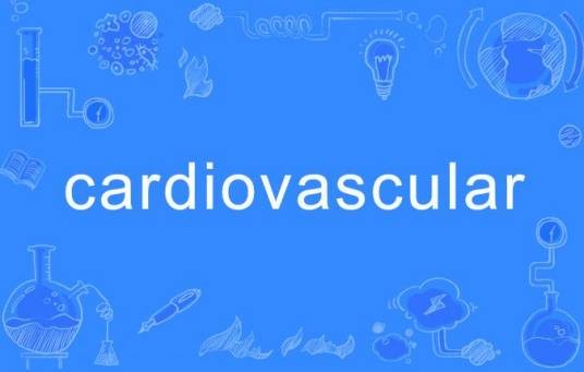 Cardiovascular