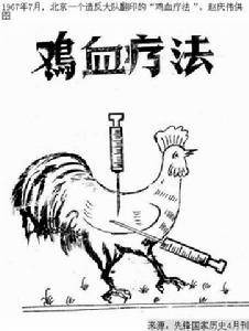 鸡血疗法