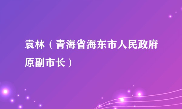 袁林（青海省海东市人民政府原副市长）
