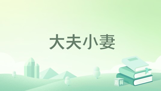 大夫小妻（鸿图早成创作都市生活小说）