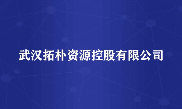 武汉拓朴资源控股有限公司