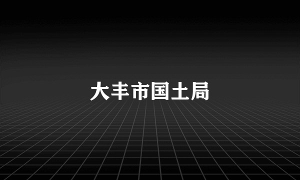 大丰市国土局