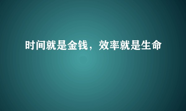 时间就是金钱，效率就是生命
