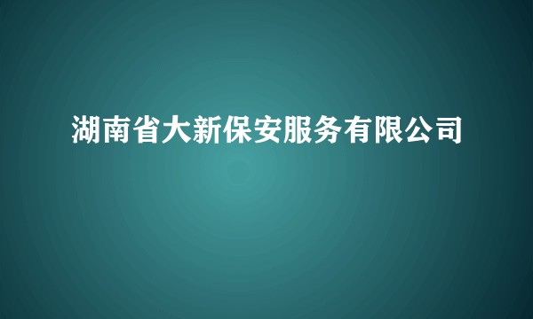湖南省大新保安服务有限公司
