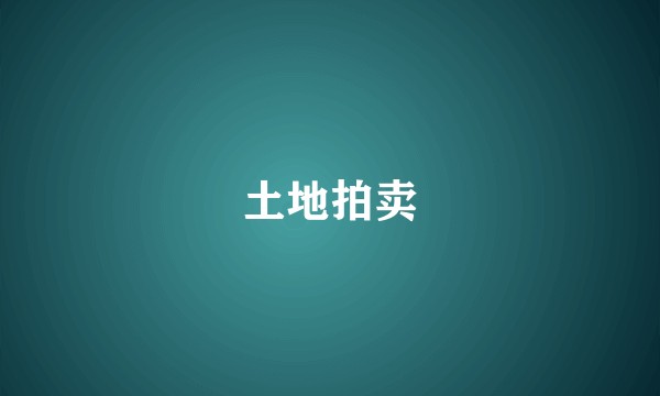 土地拍卖