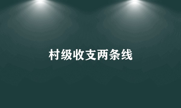 村级收支两条线