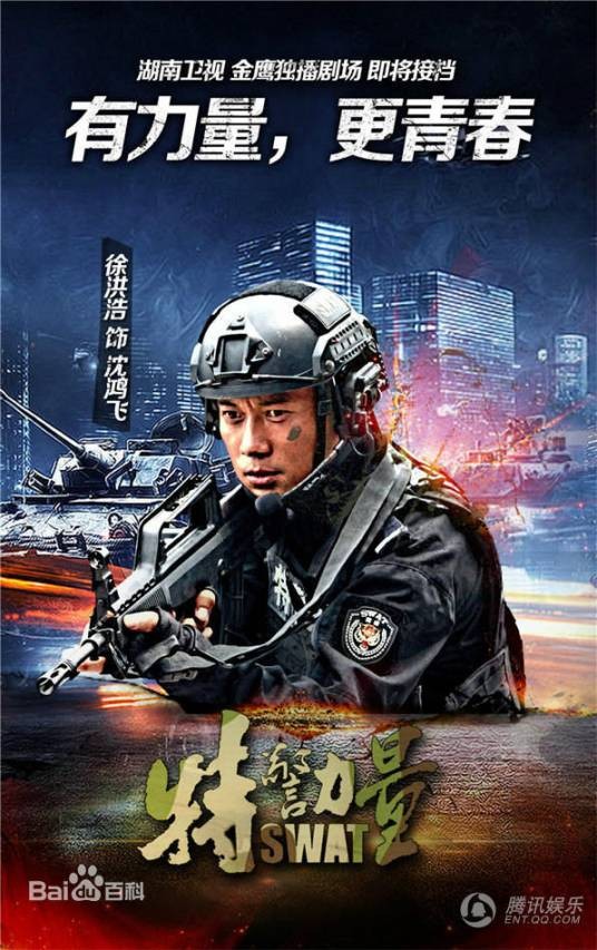 沈鸿飞（电视剧《特警力量》中的男主角）