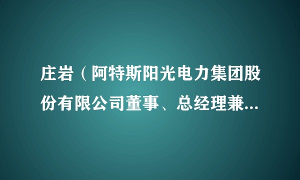 庄岩（阿特斯阳光电力集团股份有限公司董事、总经理兼首席执行官）