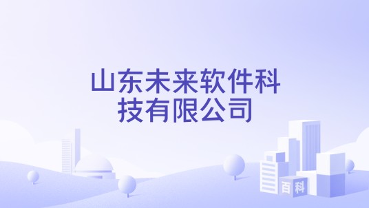 山东未来软件科技有限公司