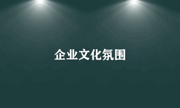 企业文化氛围