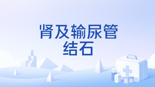 肾及输尿管结石