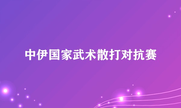 中伊国家武术散打对抗赛