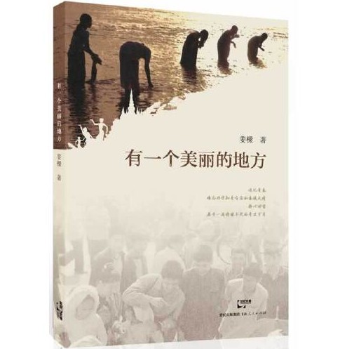 有一个美丽的地方(2014年上海人民出版社出版的图书)
