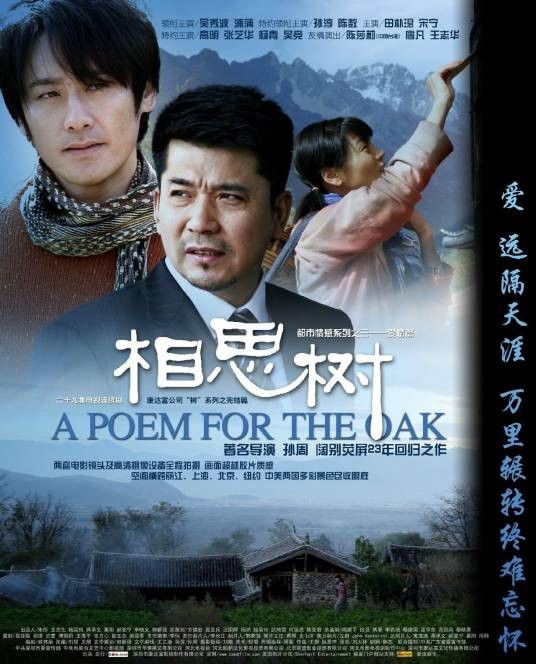 相思树(2008年吴秀波主演的电视剧)