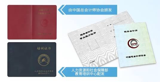 税务会计师