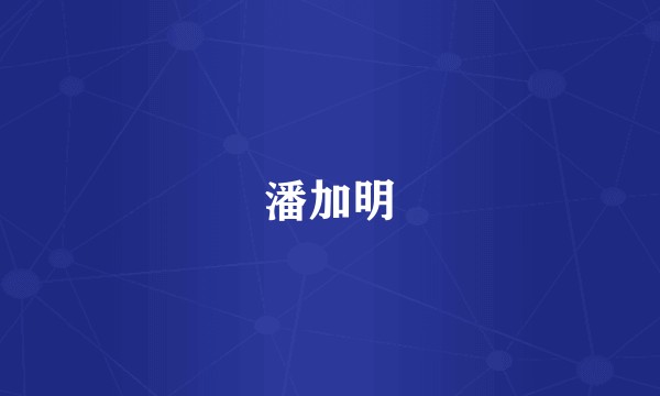 潘加明