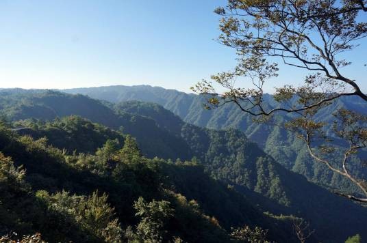 大风堡原始森林（原始森林）