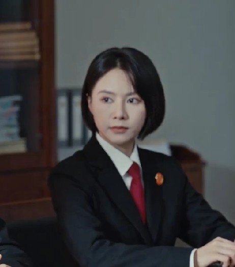 田佳（电视剧《执行法官》中的角色）