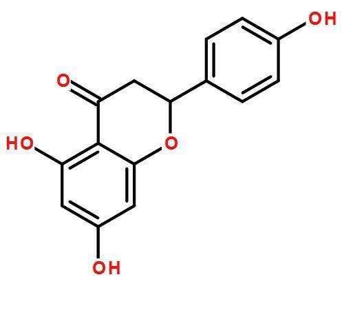 CEE-3