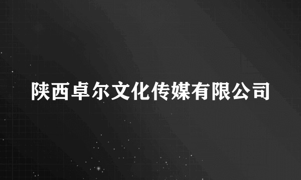 陕西卓尔文化传媒有限公司