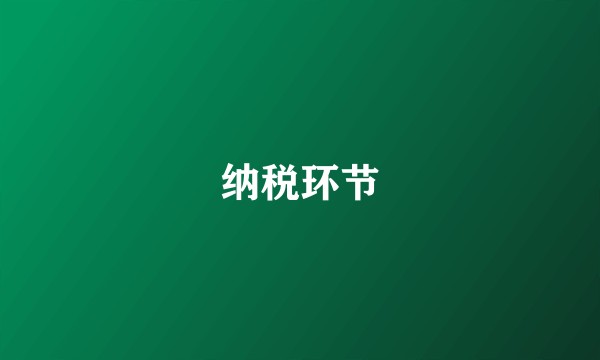 纳税环节