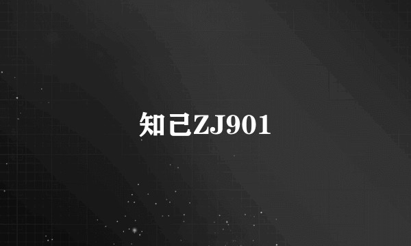 知己ZJ901
