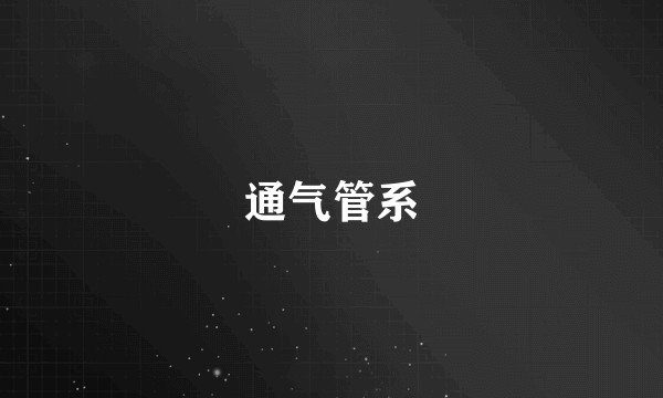 通气管系