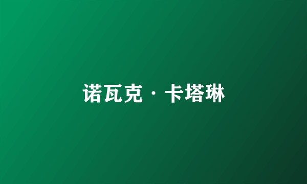 诺瓦克·卡塔琳