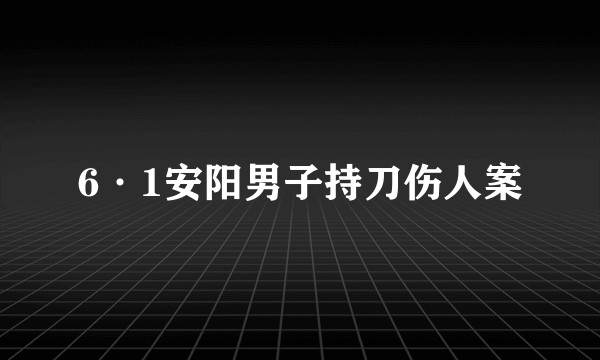 6·1安阳男子持刀伤人案