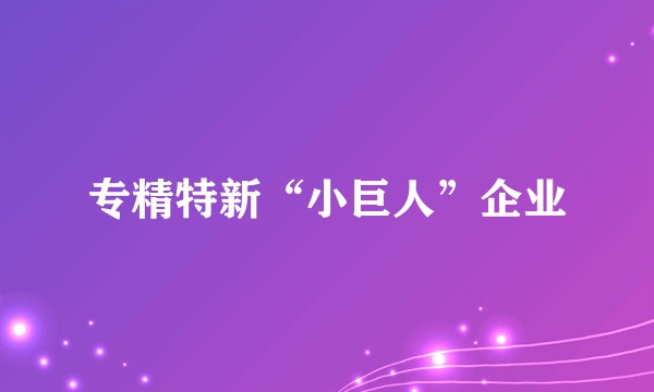 专精特新“小巨人”企业