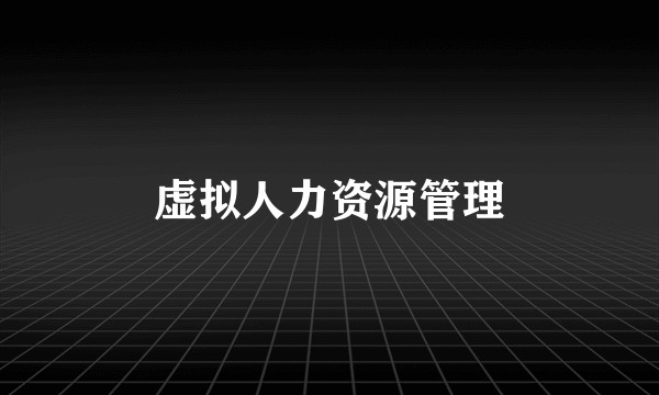 虚拟人力资源管理