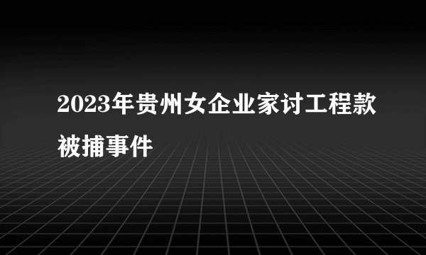 2023年贵州女企业家讨工程款被捕事件