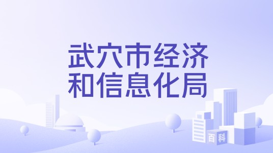 武穴市经济和信息化局