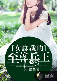 女总裁的至尊兵王（黑岩阅读网签约的都市异能类网络小说）