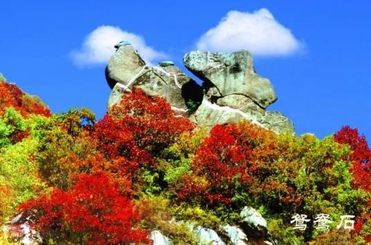 五岳寨