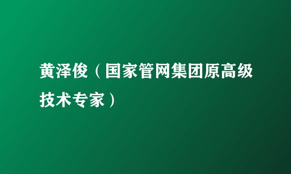 黄泽俊（国家管网集团原高级技术专家）