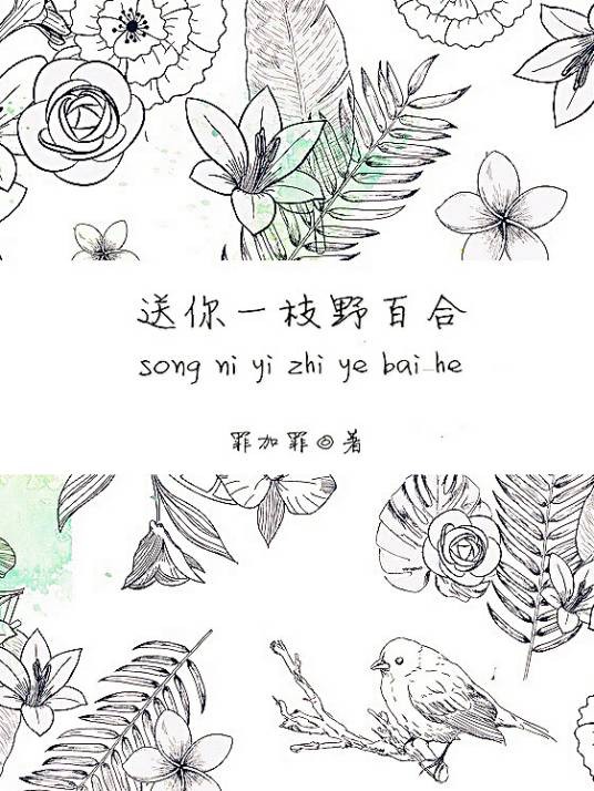 送你一枝野百合（罪加罪创作的网络小说）