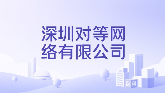 深圳对等网络有限公司