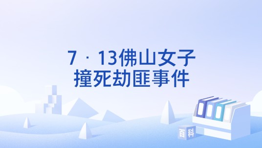 7·13佛山女子撞死劫匪事件