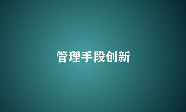 管理手段创新