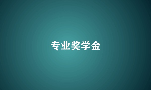 专业奖学金