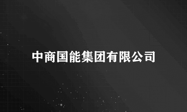 中商国能集团有限公司