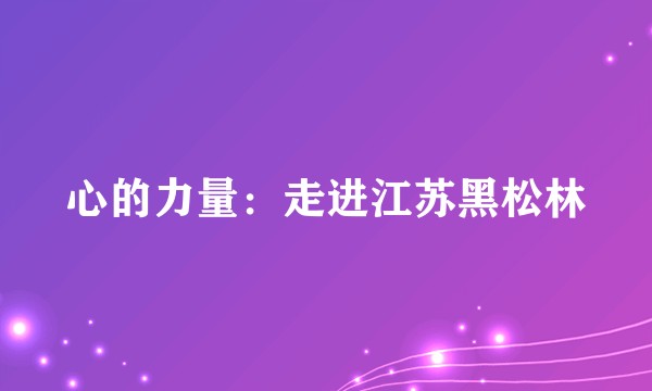 心的力量：走进江苏黑松林