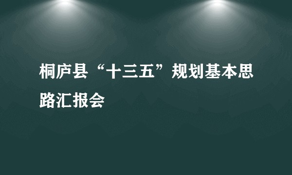 桐庐县“十三五”规划基本思路汇报会