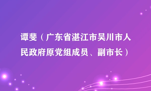 谭斐(广东省湛江市吴川市人民政府原党组成员、副市长)