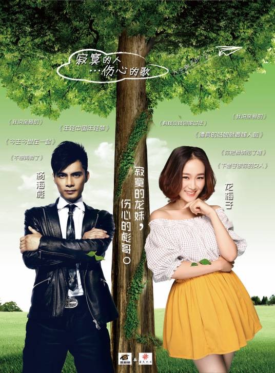 寂寞的人伤心的歌（2014年龙梅子、杨海彪演唱的歌曲）